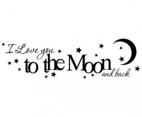 To the Moon and Back 1