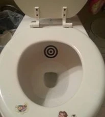 Set of 2 Potty Training Toilet Target Decals-TARGET